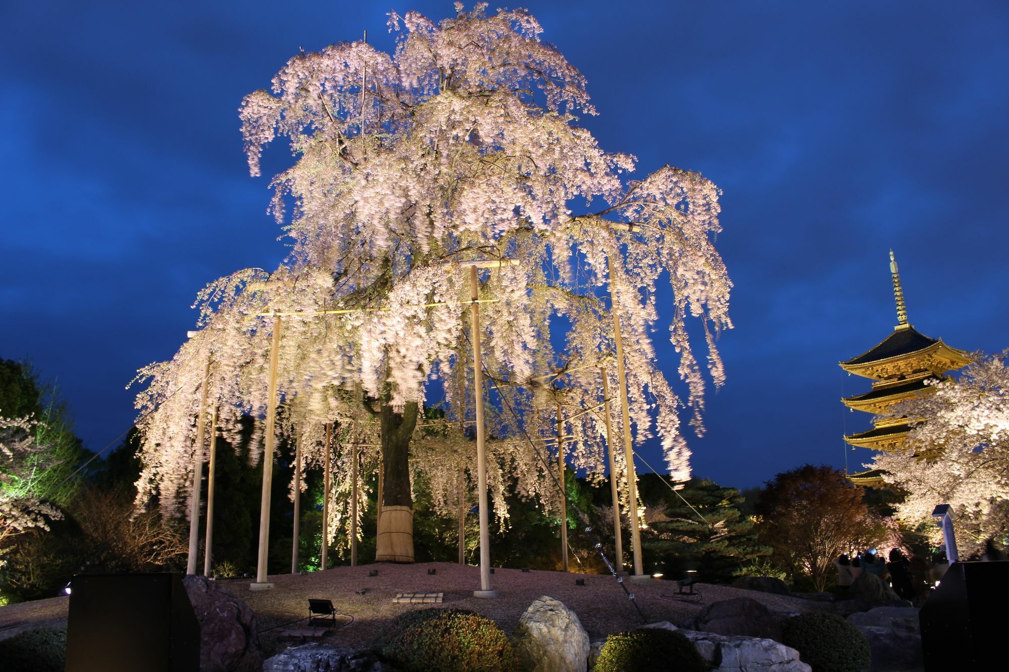 Stay Sakura Kyoto Nijo Seasons Exteriér fotografie